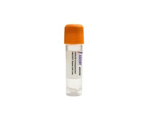 GPRC5D Overexpression HEK293T Stable Cell Line