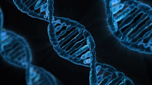 Understanding CRISPR RNP as a Next-Generation Genome Editing Strategy