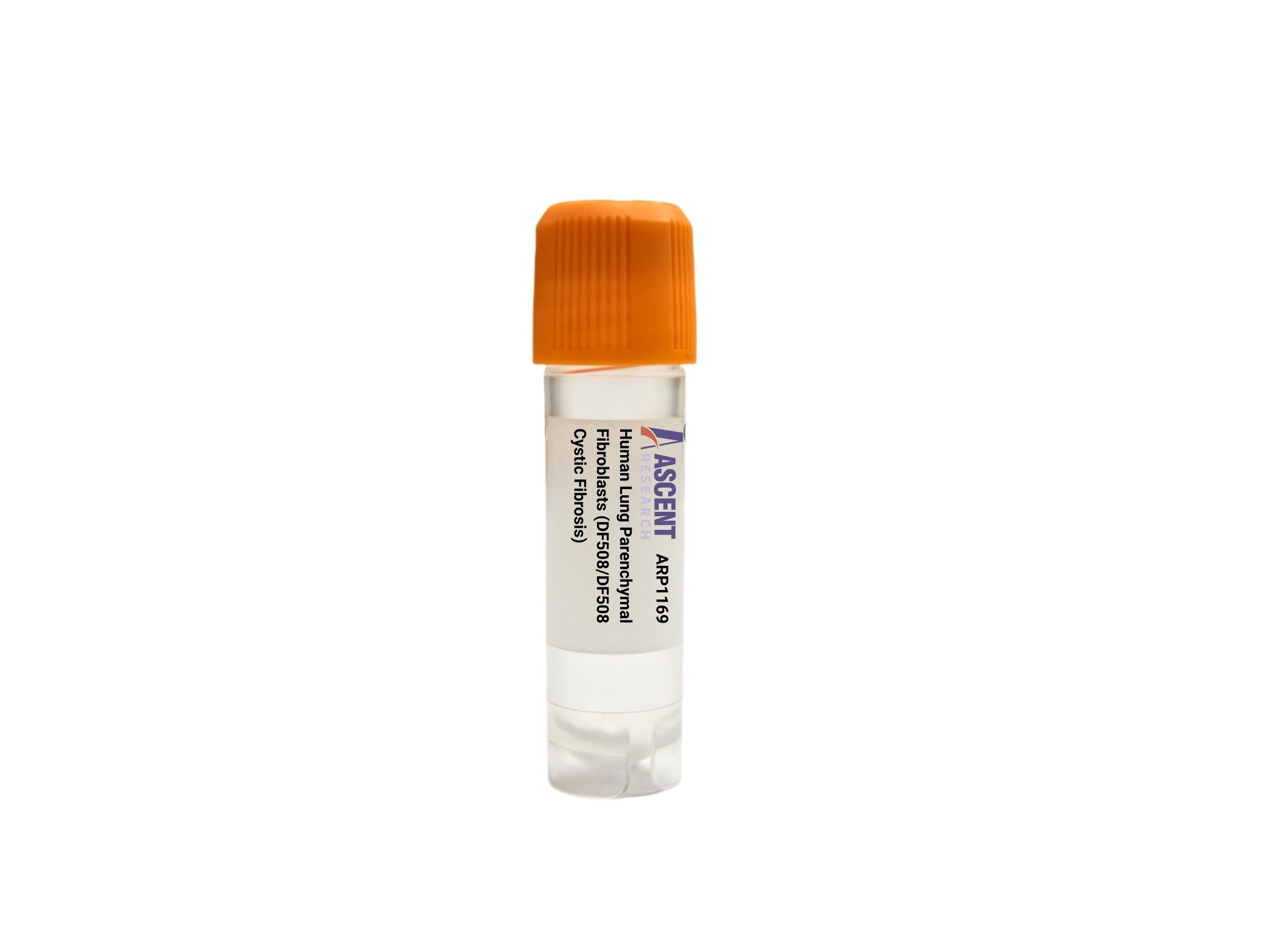 Human Lung Parenchymal Fibroblasts (DF508/DF508 Cystic Fibrosis)