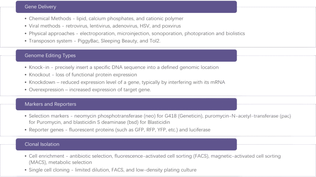 four-points-you-may-consider to-generate a-stable-cell-line
